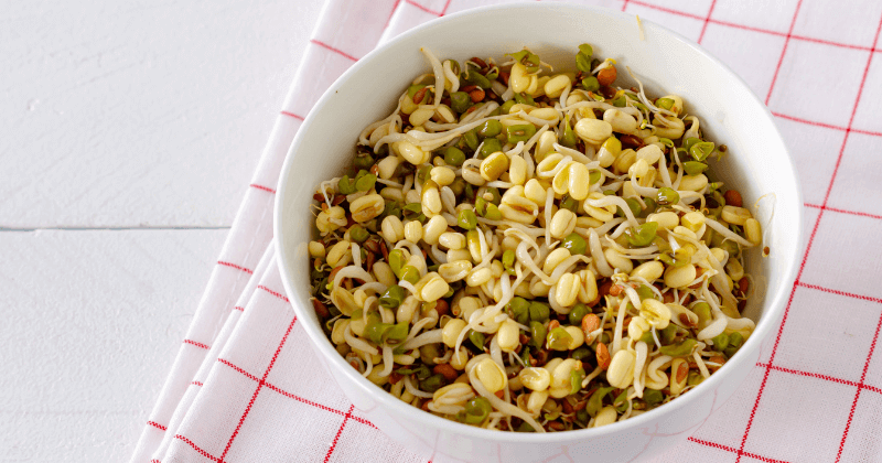 Protein in 50 Gm of Sprouts
