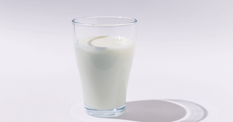 Protein in Buffalo Milk Per 100g