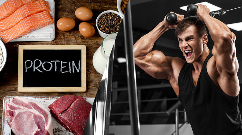 How much protein to build muscle?