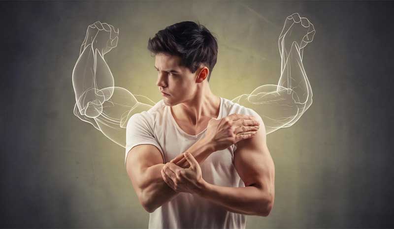 If You Stop Taking Creatine Will Your Muscles Shrink?