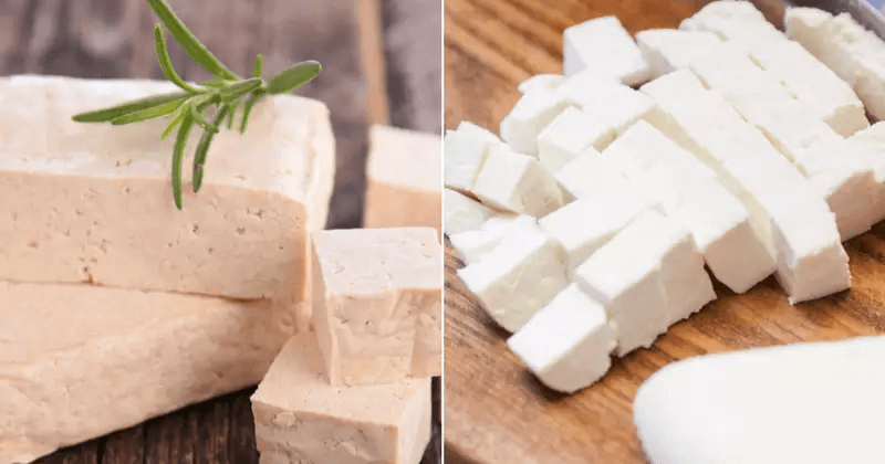 Paneer Vs Tofu Protein - Which is Better for Your Diet?