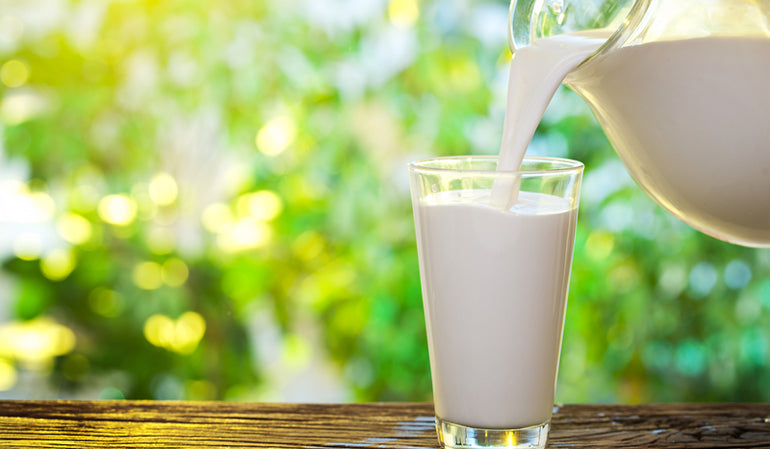 Protein in 250 ml of Milk