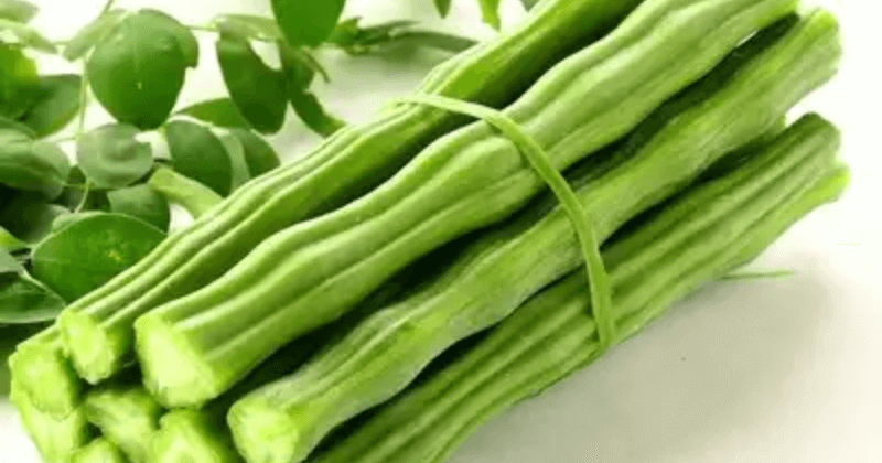 Protein in Drumstick Vegetable