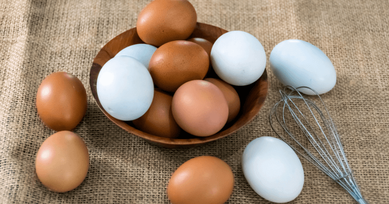 Protein Difference Between Brown And White Eggs