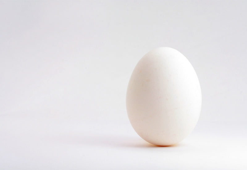 How Much Protein in 1 Egg White?