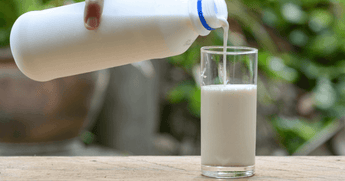 Protein in 100 Ml Milk