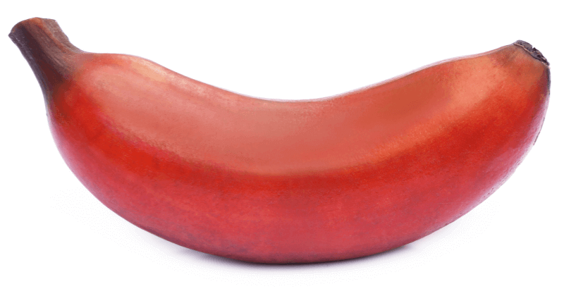 Protein in 1 Red Banana