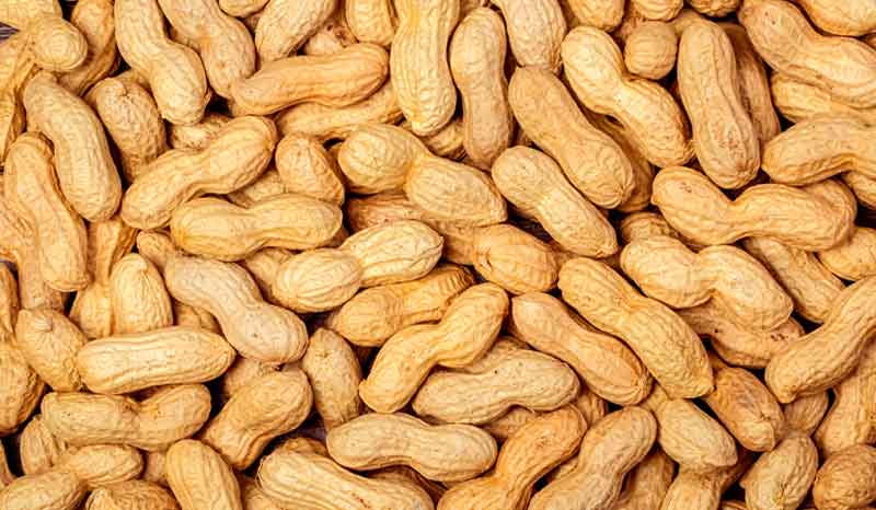 Protein in 50 Gram Peanut