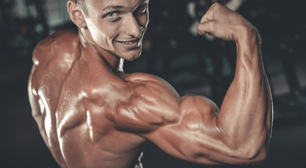 7 Long Head Tricep Exercises For Strong Arms