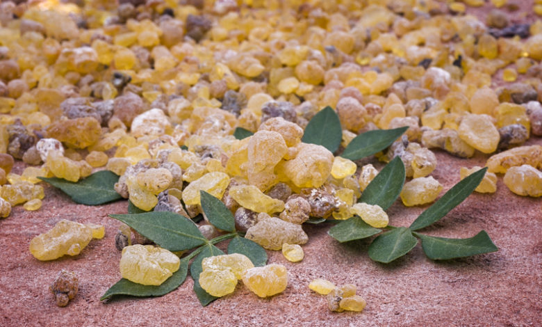 Benefits, Uses & Side Effects of Boswellia
