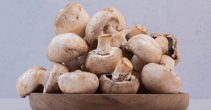 Button Mushroom Protein Per 100g