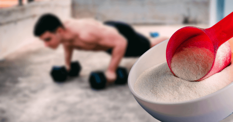 Creatine Is Good Or Bad For Health? The Truth Inside