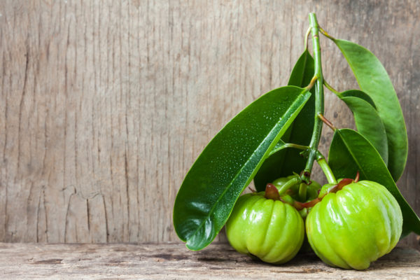 Garcinia Cambogia – Health Benefits, Uses, and Side Effects