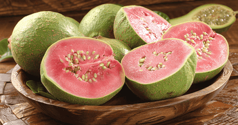 Guava Protein Per 100g