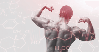How Creatine Works in Body? Science Explained