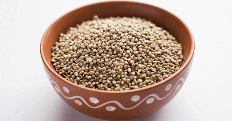 Protein in Jowar Per 100g