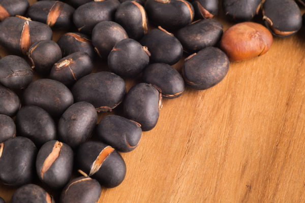 Benefits, Uses & Side Effects of Mucuna Pruriens