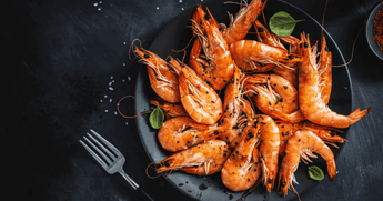 Prawns Protein Per 100g