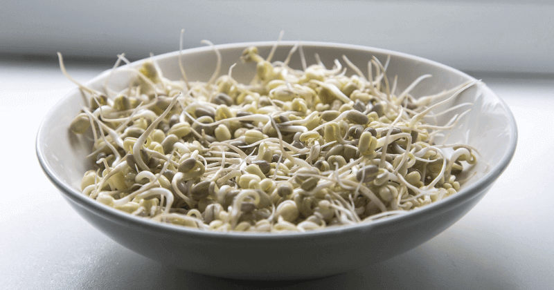 Protein In 100 Gm Moong Sprouts
