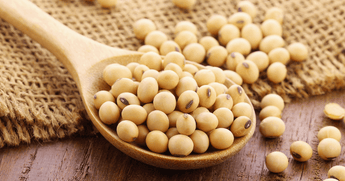 Soybean Protein Per 50g