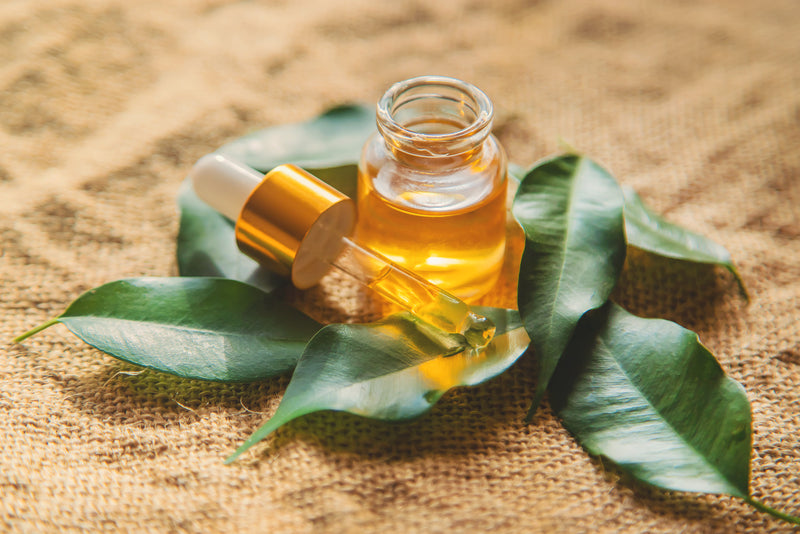 Benefits, Uses & Side Effects of Tea Tree Oil