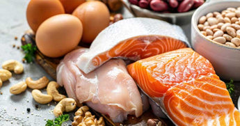 What Does Protein Actually Do in the Body?