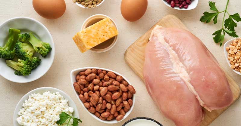 What Nutrition Science Says About Protein?