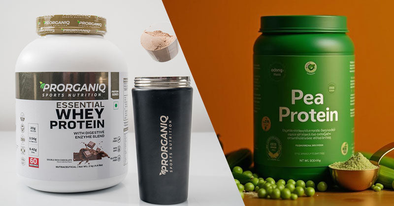 Whey Protein vs Pea Protein