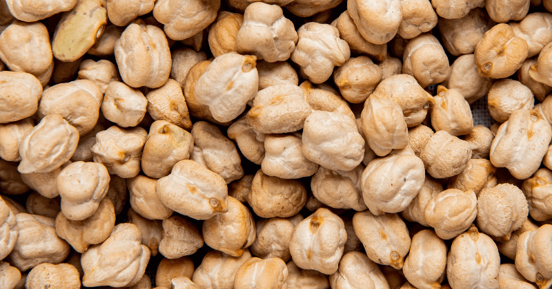 How Much Chana Do You Need for 20g Protein?