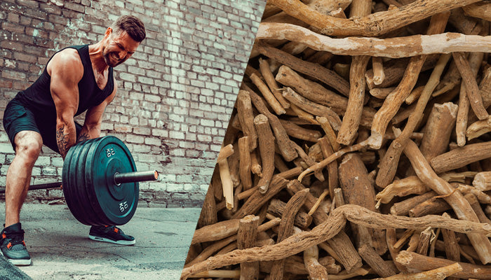 Does Ashwagandha Increases Testosterone?