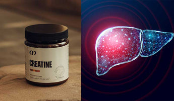 Does Creatine Affect Liver? Myths vs. Facts
