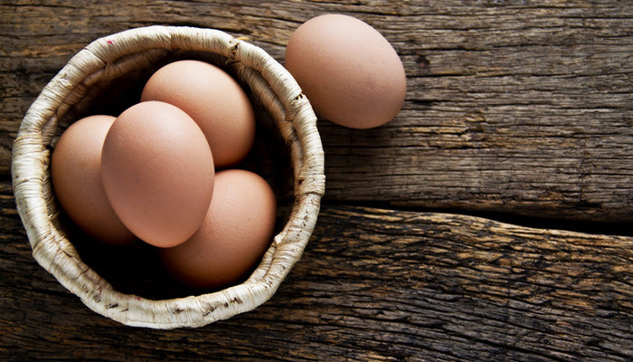 How Much Protein in 1 Egg?