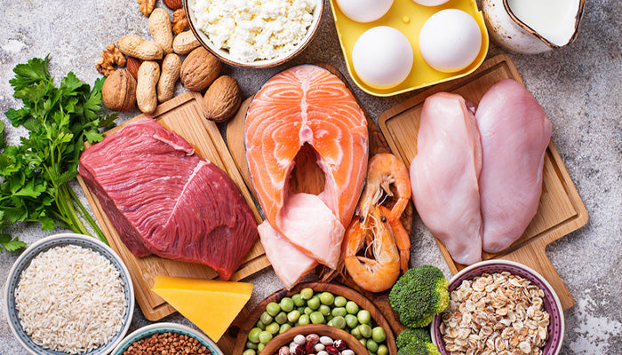 Why is Protein Important in Your Diet?