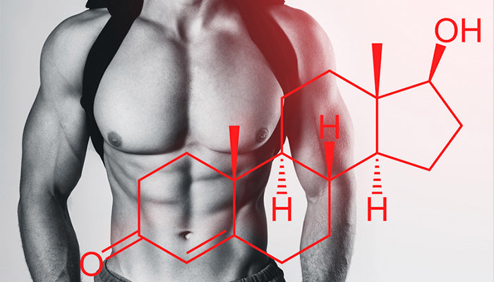 Is Testosterone A Steroid?