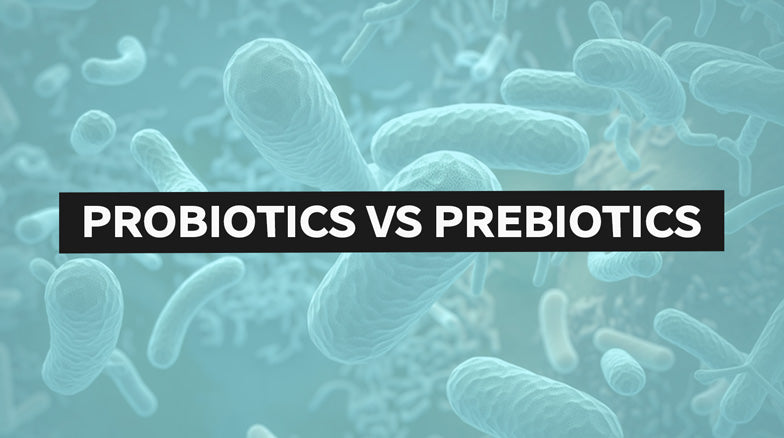 Probiotics Vs Prebiotics