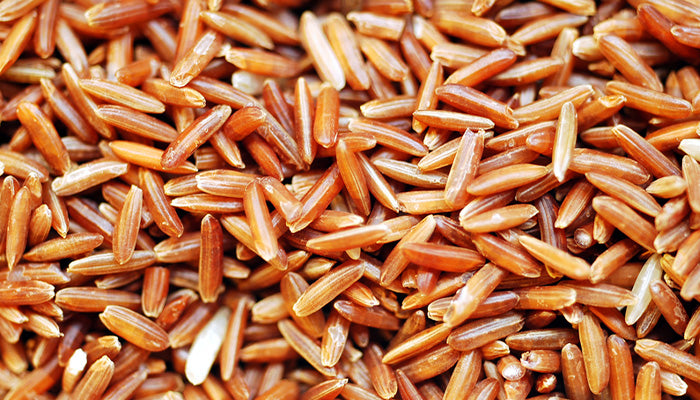 Protein Content in Brown Rice