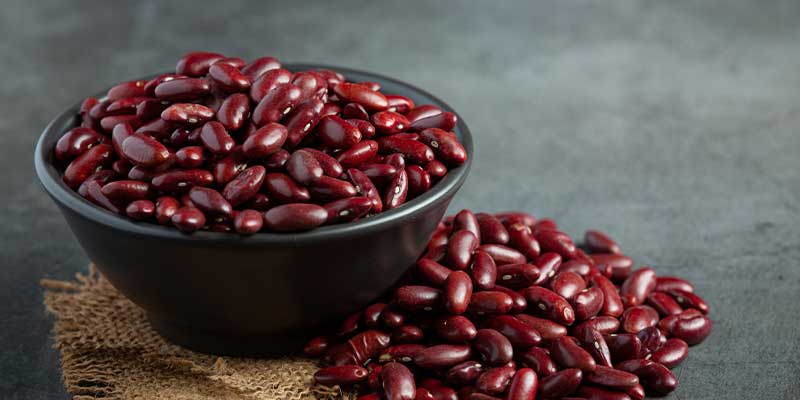 Rajma Protein Per 100g