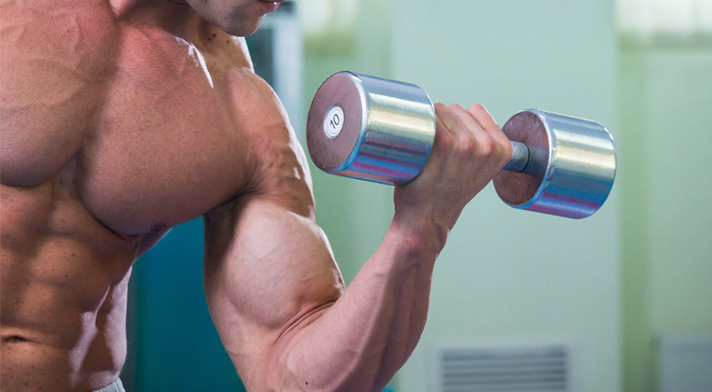 7 Short Head Bicep Exercises for Sleeve-Busting Arms