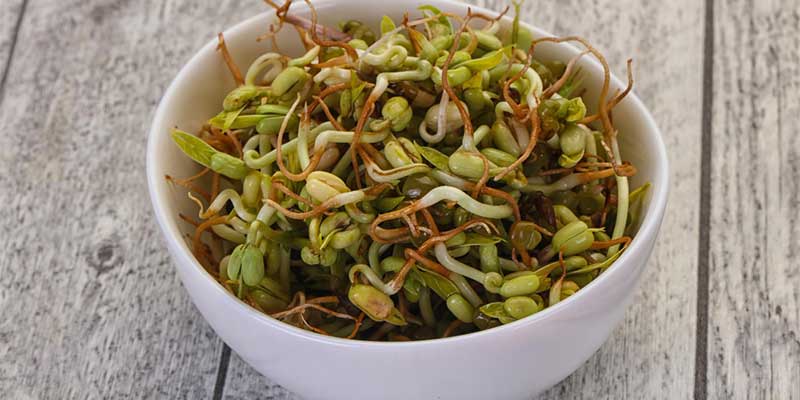 Sprouts Protein Per 100g