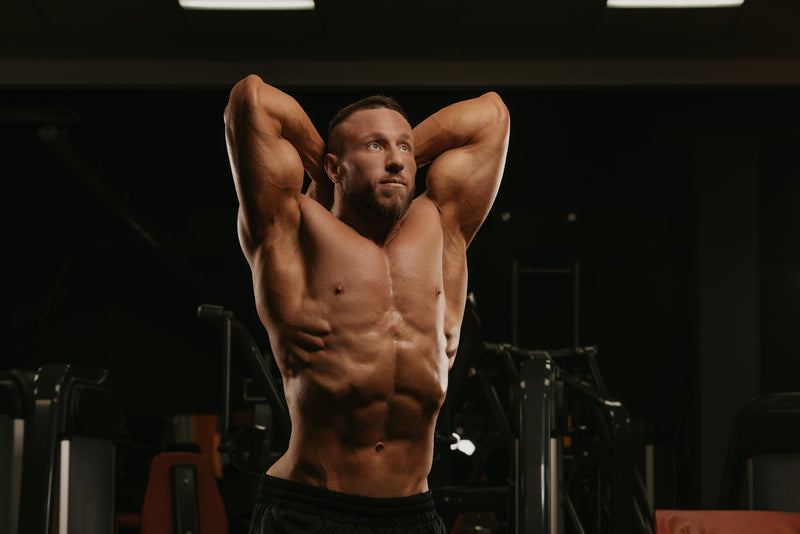 Lean Muscle vs Bulk Muscle - What's the Difference? – Prorganiq