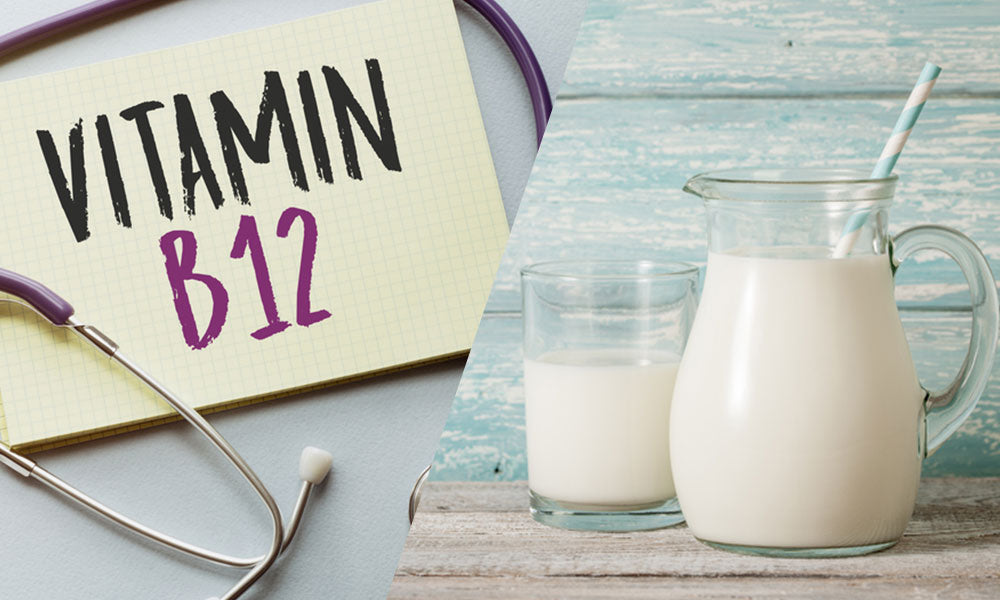 Vitamin B12 Content in Milk