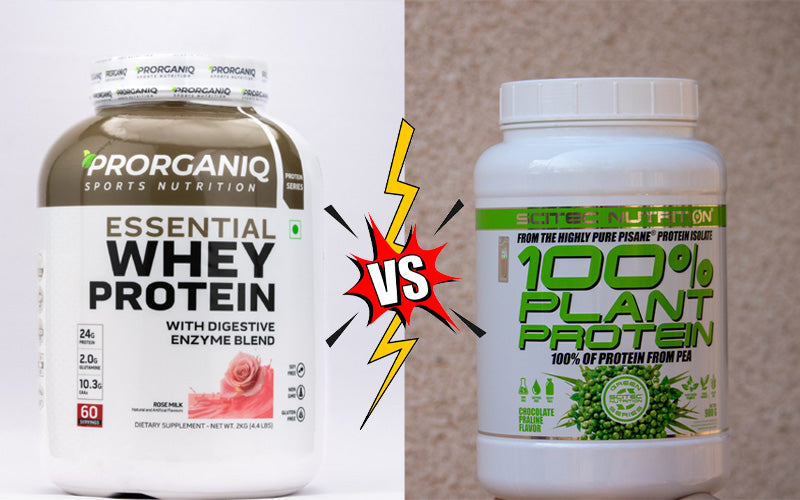 Whey Vs. Plant Protein: Which Should You Buy?