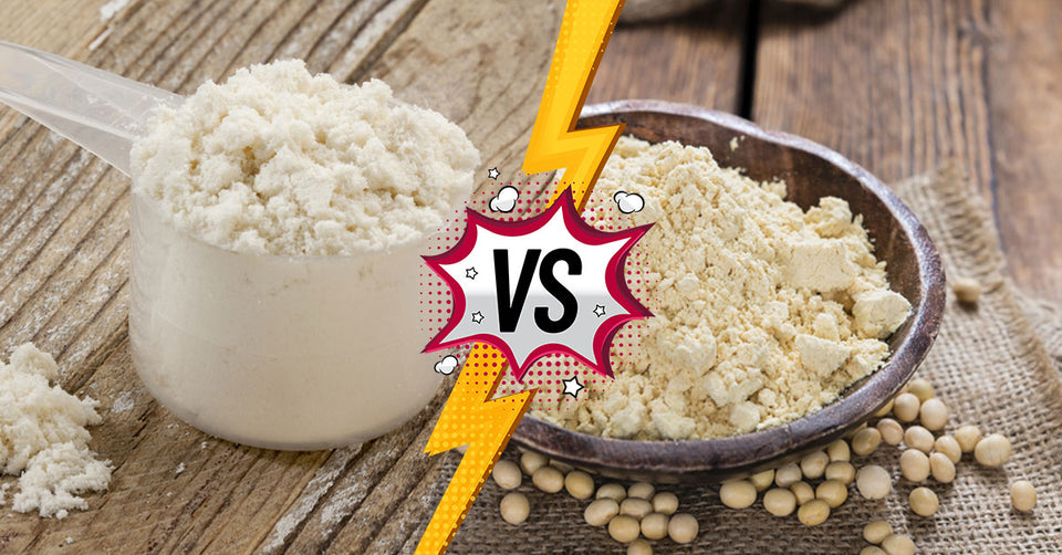 Whey Protein Vs Soy Protein - Which One is the Best?