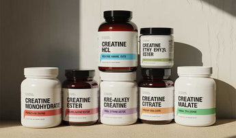 Which Type of Creatine Is Best? Full Comparison Guide